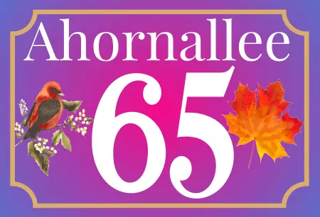 Strassen - Hausnummern Ahornalle Bild